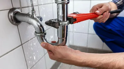 Best Plumbing Maintenance Tips