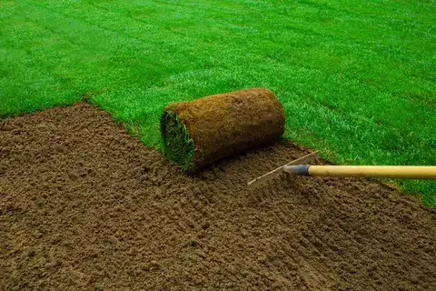 sod Cost to Install