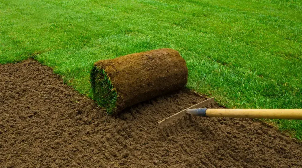 Sod Cost to Install 