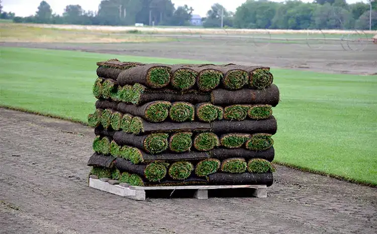 pallet of sod