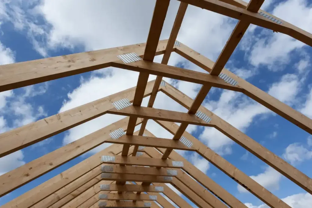 Roof Rafters
